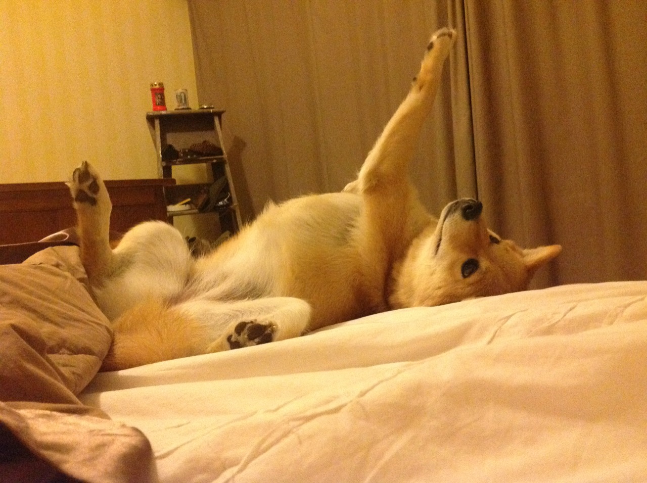 当开拓者精神跨越赛场边界，塔图姆的蜕变启示录