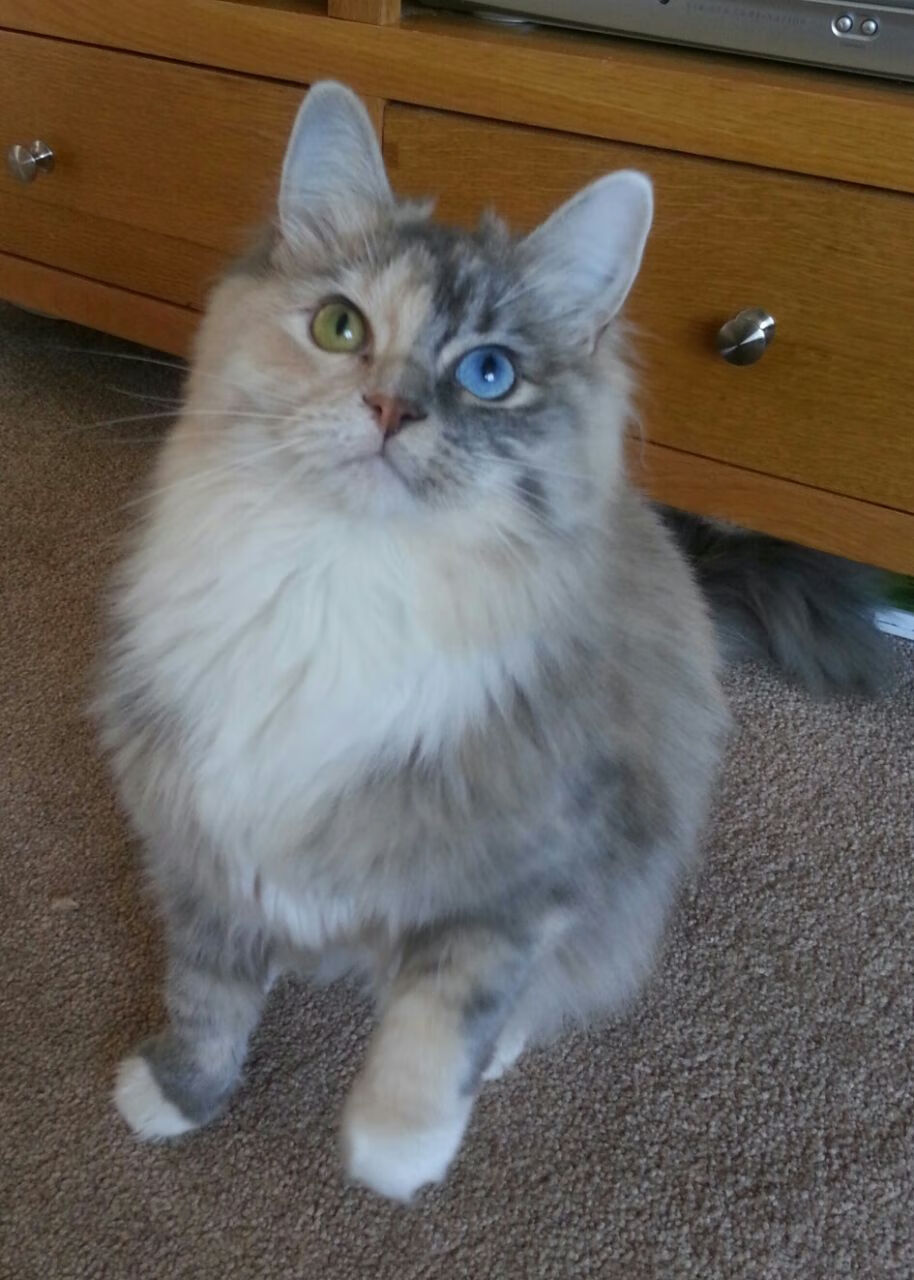 开云体育app-F1新赛季揭幕战之夜，爱德华兹惊艳四座，重塑赛车新纪元