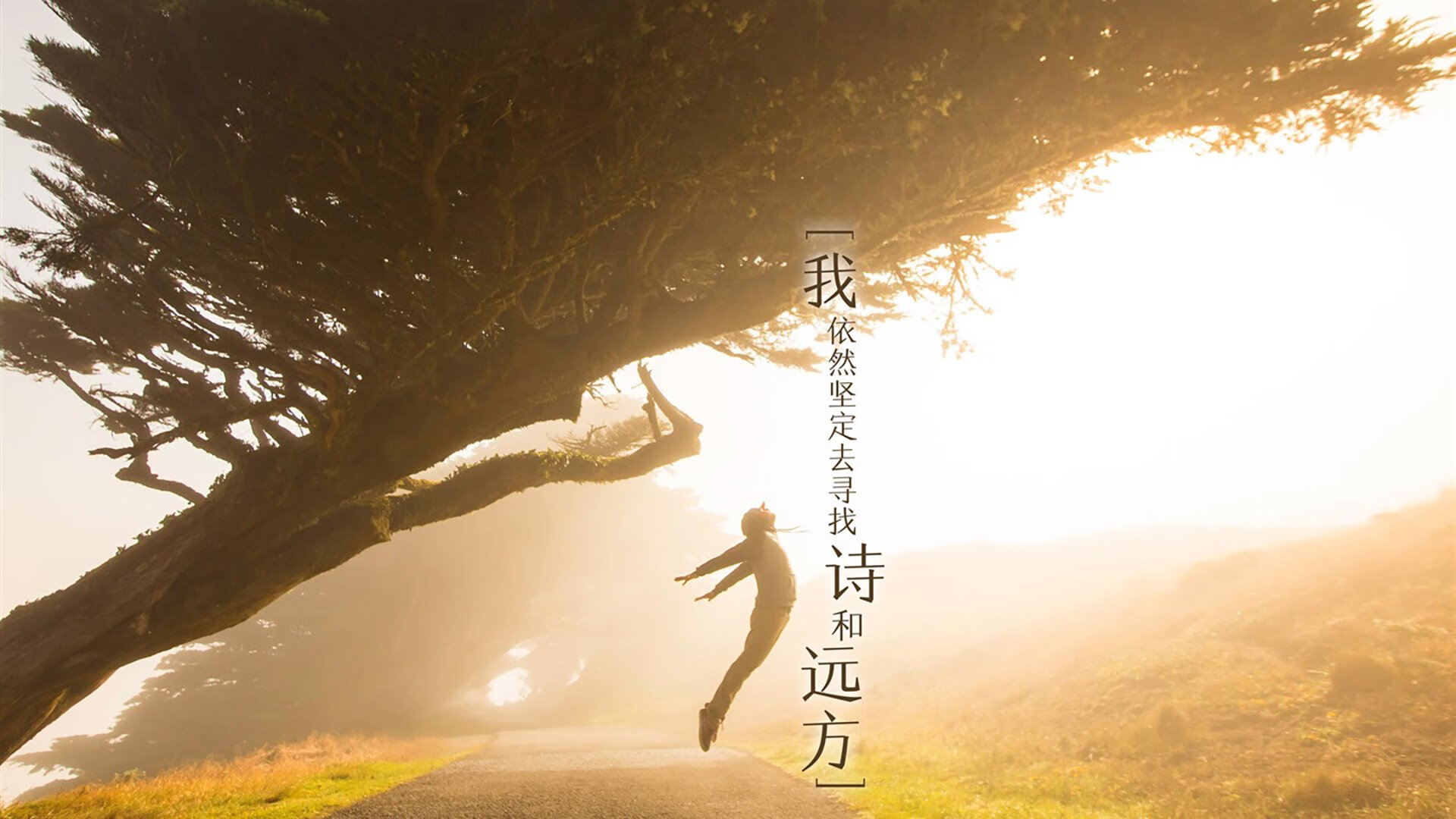 塔图姆刷新纪录闪耀全场，骑士终结尼克斯连胜