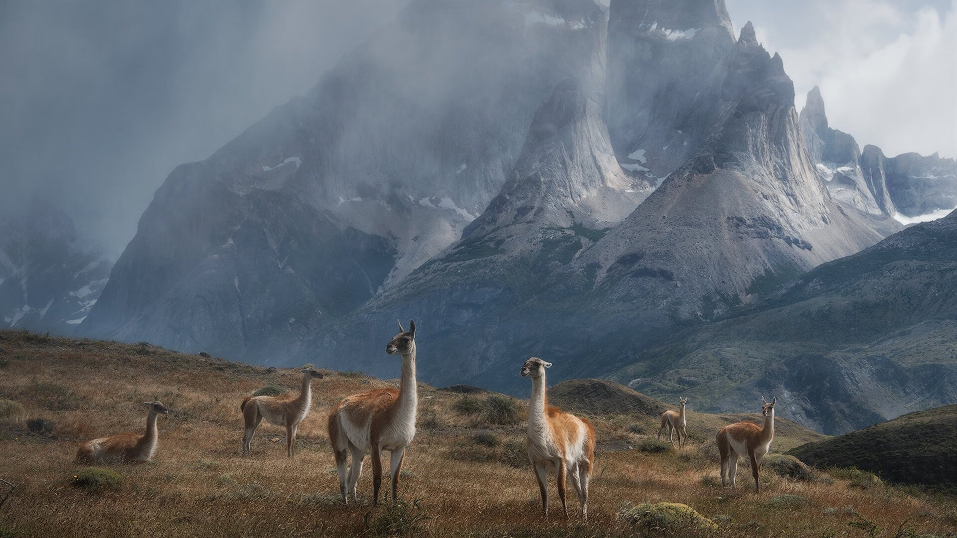 开云体育-绝境逢生！克瓦拉茨赫利亚一锤定音，土耳其力擒伊拉克锁定乾坤