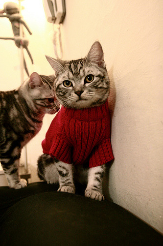 巅峰对决，莫兰特爆发撕裂防线，掘金关键战碾压开拓者突围