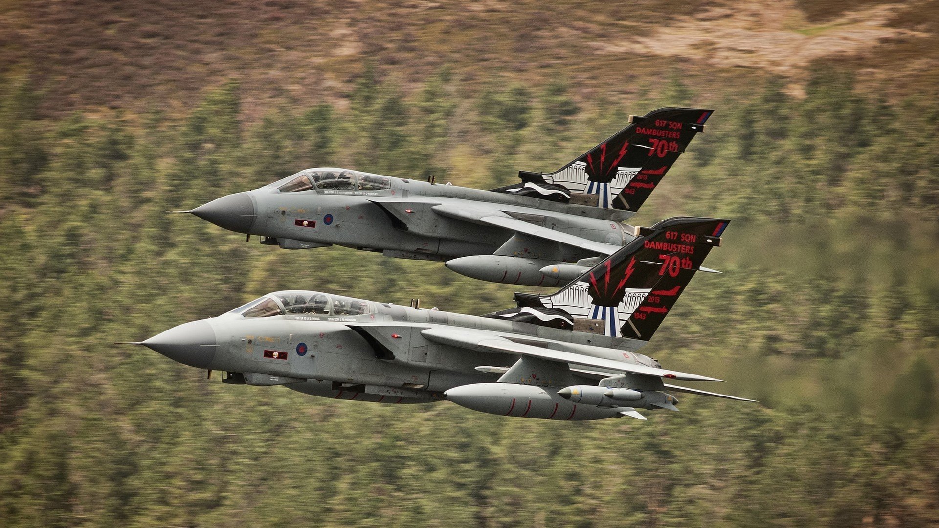 征服北岸花园，当辽宁飞豹遭遇绿军铁幕，杰伦·格林上演东方神迹