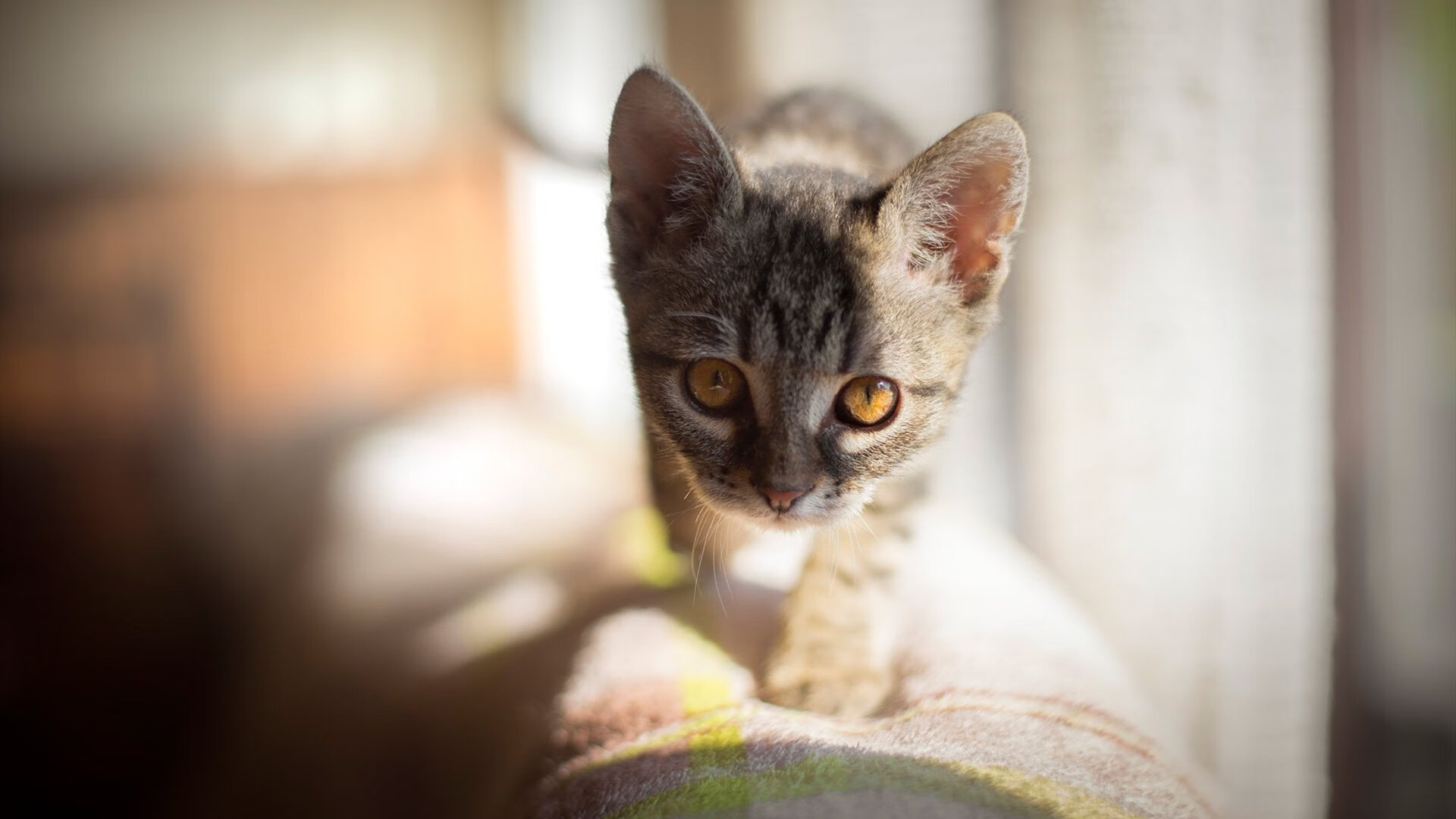 铁血碾碎艺术，马竞用反足球哲学冲垮亚特兰大，定义现代德比新维度