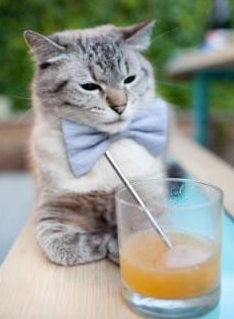 班凯罗狂轰40+统治攻防，黄蜂团队篮球灼伤太阳