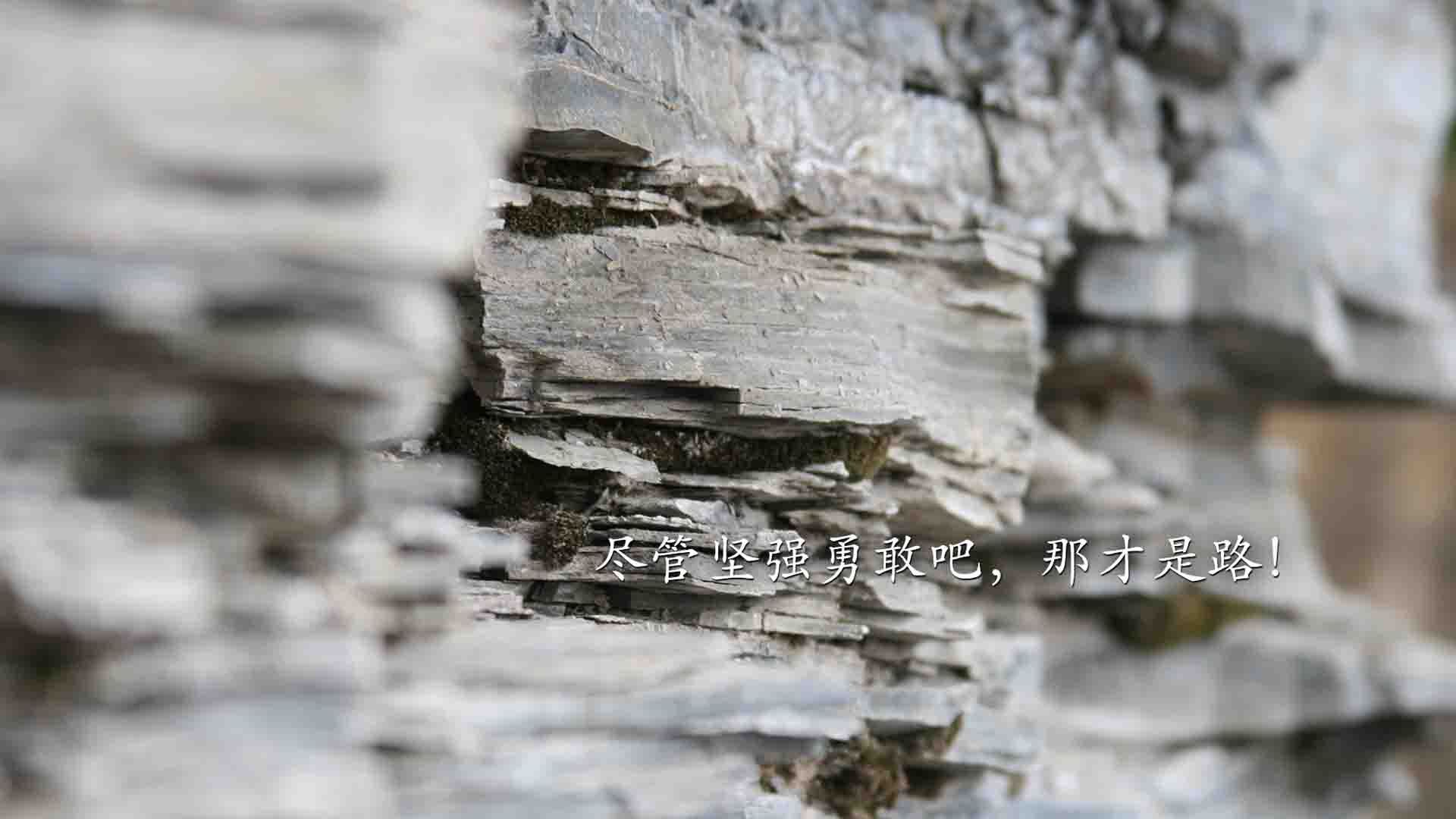 开云体育入口-绿茵与硬木的交响，德甲争冠战白热化，凯尔特人提前终结灰熊悬念