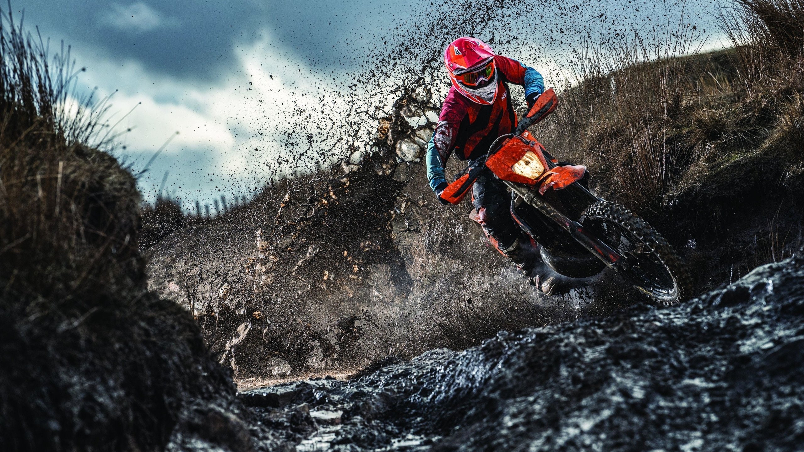 从孙兴慜的统治力到红鸟的速度哲学,足球世界的两极寓言