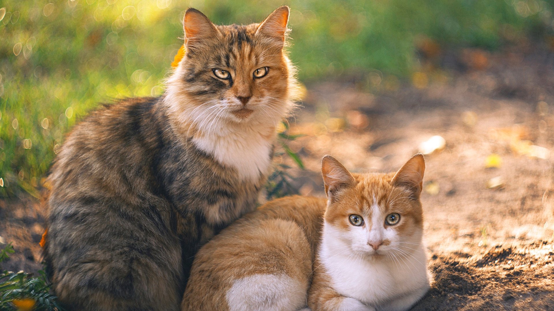 开云体育-巴斯托尼！主宰塞维利亚之夜，一记重锤砸开胜利之门，一个头脑冻结曼联巨轮