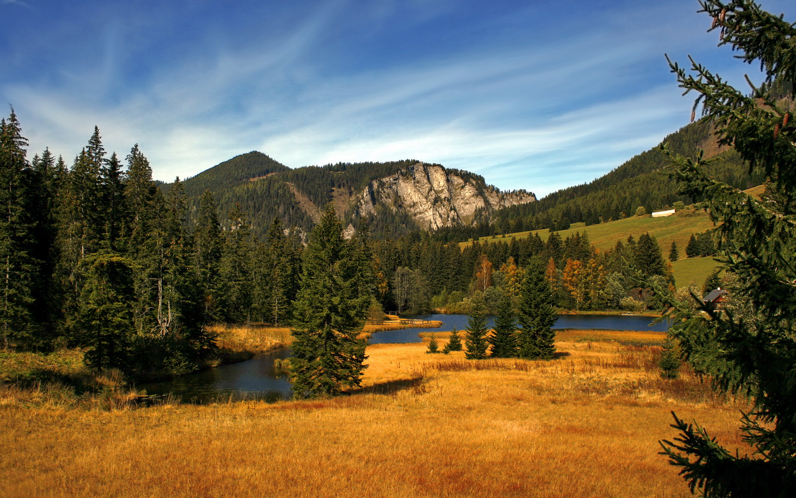 凡人之躯，钢铁之心，伊萨克用防守定义生死战