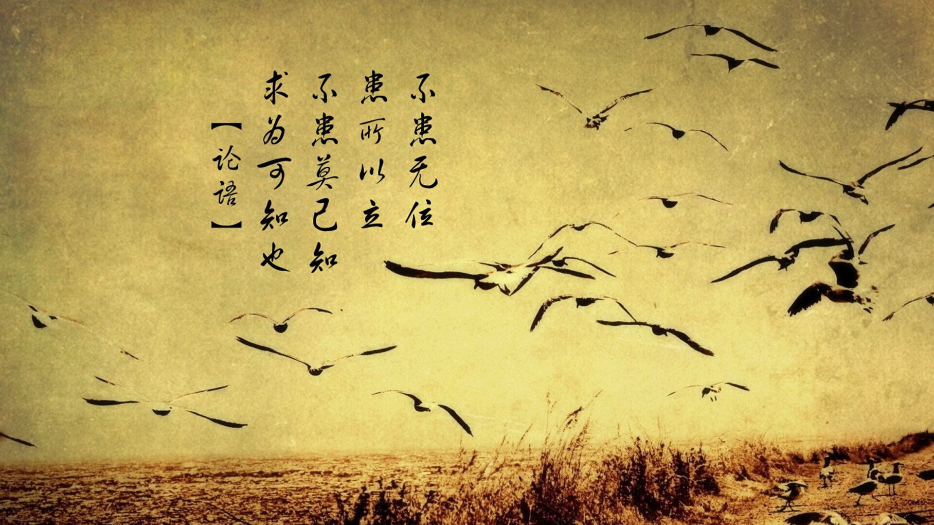 开云体育-阿尔卑斯之魂与北欧风暴的碰撞，2026世界杯A组，瑞士完胜挪威，坎塞洛化身边路上帝